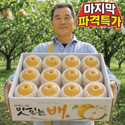 [노마진특가] 가정용 고당도 26년햇 나주배