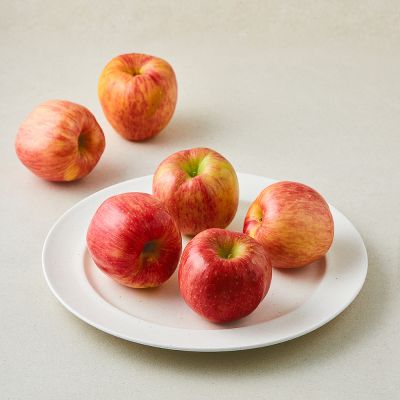 [로켓프레시] 당찬 못난이 사과, 1개, 1.3kg(중과, 4~6입)