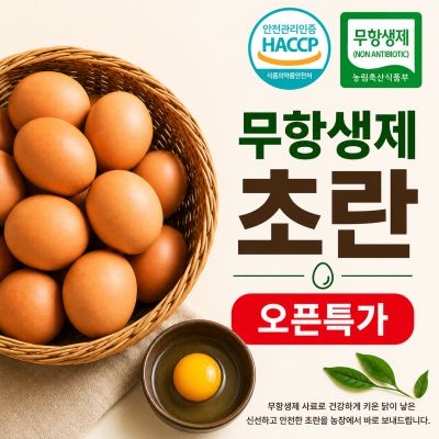 무항생제 계란 신선한 초란 30구,60구 오픈특가, 1개, 30구