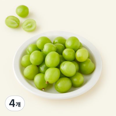 [로켓프레시] 모아바이오팜 당도선별 모아팜 알알이 샤인머스캣, 4개, 500g
