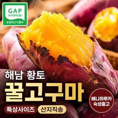 해남 꿀고구마 베니하루카 황토고구마 산지직송