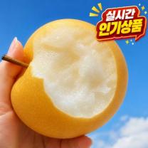 [26년첫출하] 꿀brix 아삭달콤 햇배 나주배