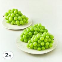 [로켓프레시] 다조은 비파괴당도선별 샤인머스캣, 1.5kg, 2개