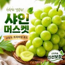 프레쉭품 경북 산지직송 고당도 샤인머스켓 신선선별 청포도, 1박스, 2kg