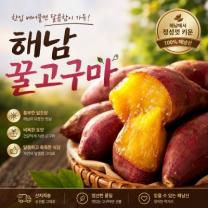 [카트에담다] 햇고구마 꿀밤고구마 해남 꿀고구마 베니하루카 고구마 [비세척]]