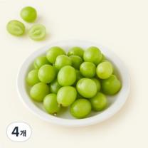 [로켓프레시] 모아바이오팜 당도선별 모아팜 알알이 샤인머스캣, 4개, 500g