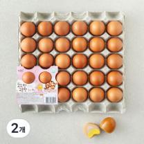 [로켓프레시] 성원 고소한 구운란 1.05kg, 2개, 30구