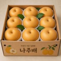 나주배, 특품, 3kg, 6-9과, 1박스